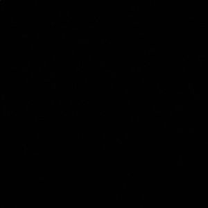 Meet your Posher, Ray